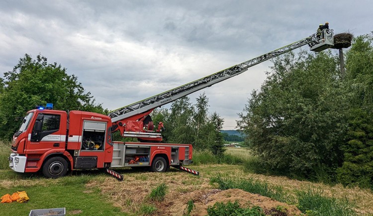 Šumperští hasiči vyrazili k čapímu hnízdu. Mláďata přišla o jednoho z rodičů
