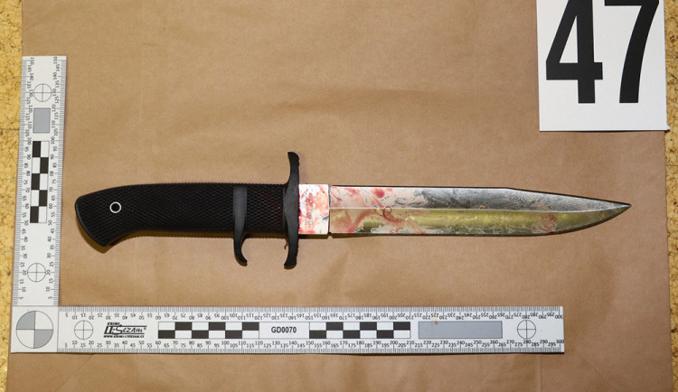 V případu trojnásobné vraždy v Kostelci na Hané vypovídala dívka, která přežila. Útočníkovi hrozí doživotí