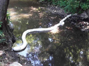 Kvůli úniku provozních kapalin instalovali hasiči také sorpční hady
