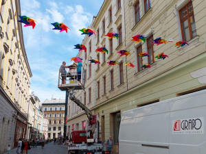 ANKETA: Centrum Olomouce opět ozdobily barevné větrníky. Líbí se vám?