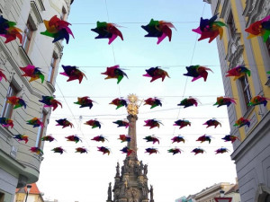 ANKETA: Centrum Olomouce opět ozdobily barevné větrníky. Jak se vám líbí?