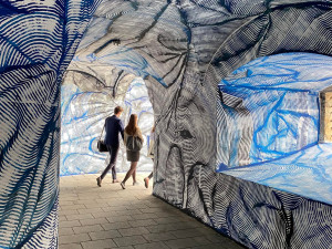 ANKETA: Podchod v Olomouci ozdobily abstraktní černé a modré linie. Líbí se vám?