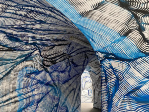 ANKETA: Podchod v Olomouci ozdobily abstraktní černé a modré linie. Líbí se vám?