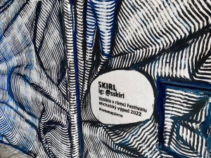 ANKETA: Podchod v Olomouci ozdobily abstraktní černé a modré linie. Líbí se vám?