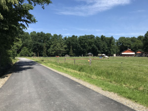 Turisté se dostanou snadněji k Lovecké chatě v Litovelském Pomoraví. Cesta má asfaltový povrch