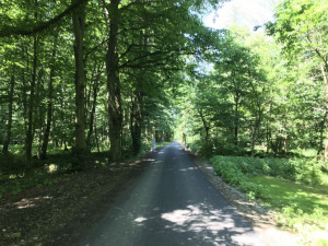 Turisté se dostanou snadněji k Lovecké chatě v Litovelském Pomoraví. Cesta má asfaltový povrch