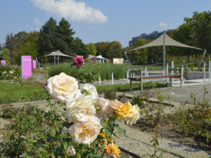 Řečiště, součást opevnění i skládka. Území rozária v Olomouci zažilo několik etap, zahradou je padesát let