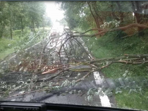 Kvůli bouřkám hasiči vyjížděli k popadaným stromům. Na Jesenicku pomáhali s utrženými střechami