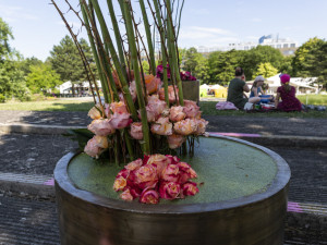 Festival Vyznání růžím v olomouckém rozáriu