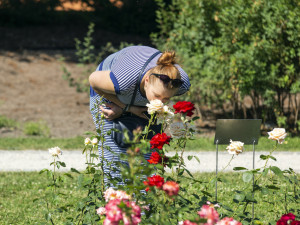 Festival Vyznání růžím v olomouckém rozáriu
