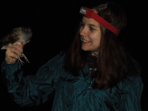 Odborníci z olomoucké zoo kroužkovali ohrožené luční duchy. Tak říkají chřástalům