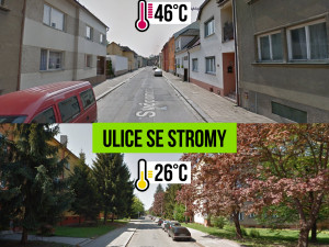 Současná vedra nesnesitelně rozpalují ulice a náměstí. Přerov chce do centra dostat více zeleně