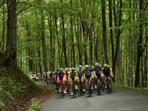 Česká tour láká i hvězdné reprezentanty. Cyklisty čeká čtyřdenní boj v Jeseníkách i Beskydech