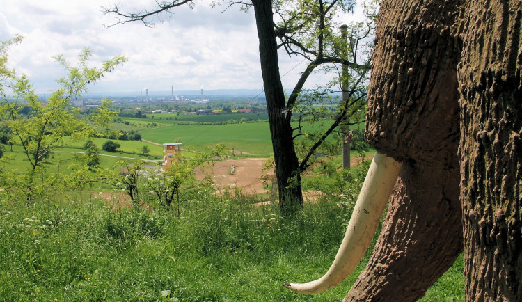 Výhled z Čekyňského kopce