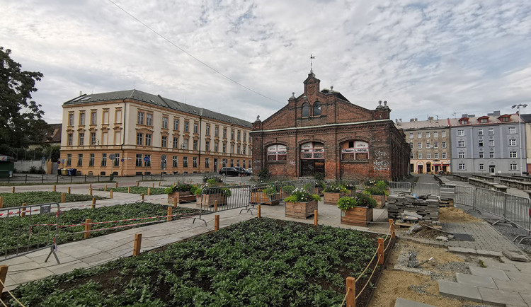Výstaviště Flora Olomouc vytváří na tržnici posezení plné květin a zeleně