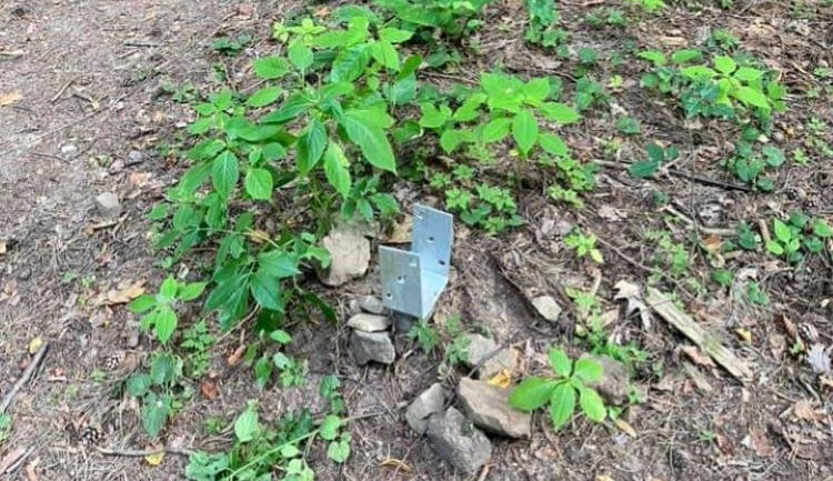 Na Hanáckých stezkách u Plumlova někdo ničí označení tratí. Může to být nebezpečné, varuje biker