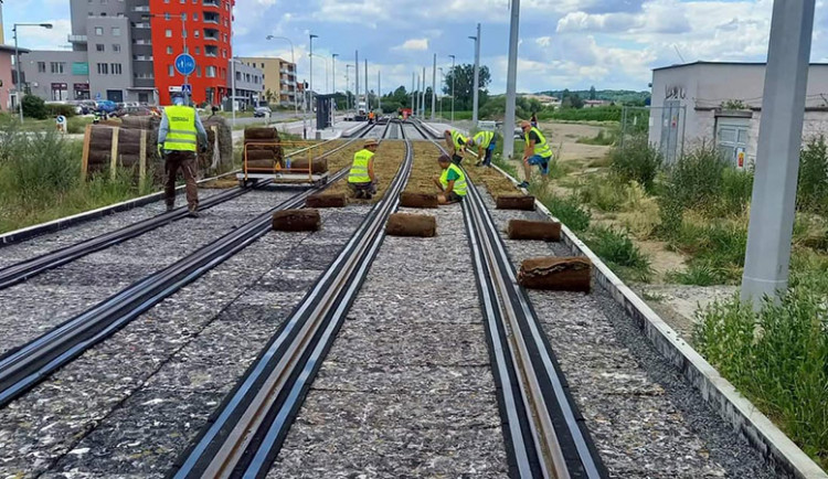 Tramvaje ve Schweitzerově budou jezdit nad zelení. Nová olomoucká trať dostává speciální úpravu