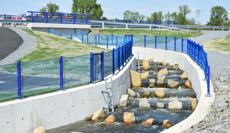 Rybáři pomocí čipů monitorují využití rybího přechodu v Hranicích. V době tření může jít o stovky ryb denně