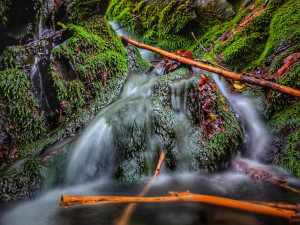 TIP NA VÝLET: Žabnické vodopády, zřícenina hradu Drahotuš a vyhlídka U jelena. To vše na jednom místě