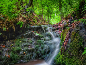 TIP NA VÝLET: Žabnické vodopády, zřícenina hradu Drahotuš a vyhlídka U jelena. To vše na jednom místě