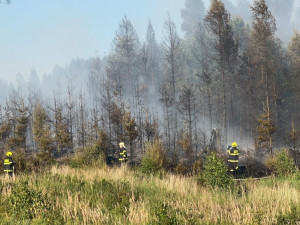 VIDEO: Patnáct jednotek hasičů bojuje s lesním požárem u vojenského prostoru Libavá