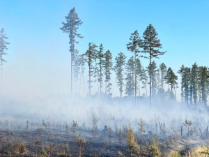 Patnáct jednotek hasičů bojuje s lesním požárem u vojenského prostoru Libavá
