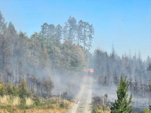Patnáct jednotek hasičů bojuje s lesním požárem u vojenského prostoru Libavá