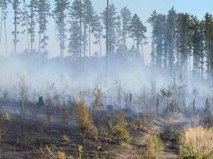 Patnáct jednotek hasičů bojuje s lesním požárem u vojenského prostoru Libavá
