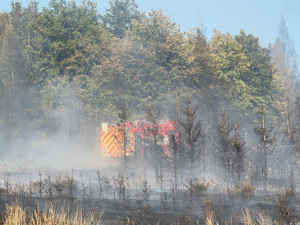 Patnáct jednotek hasičů bojuje s lesním požárem u vojenského prostoru Libavá