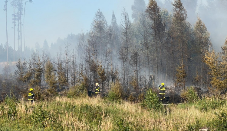 Patnáct jednotek hasičů bojuje s lesním požárem u vojenského prostoru Libavá