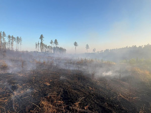 VIDEO: Ranní bouřky zklidnily plameny v lese na Olomoucku jen mírně. Hasiči požár krotili celou noc