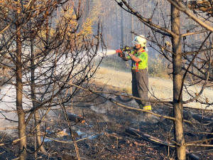 VIDEO: Ranní bouřky zklidnily plameny v lese na Olomoucku jen mírně. Hasiči požár krotili celou noc