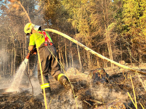 VIDEO: Ranní bouřky zklidnily plameny v lese na Olomoucku jen mírně. Hasiči požár krotili celou noc