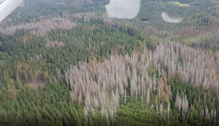 Letecký pohled na národní přírodní rezervaci Rejvíz