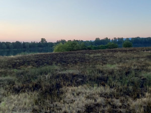 Netradiční výjezd: hasiči krotili požár na ostrově Chomoutovského jezera