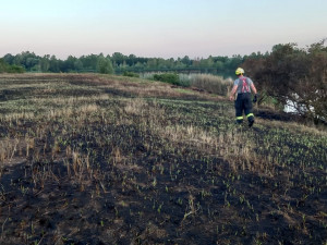 Netradiční výjezd: hasiči krotili požár na ostrově Chomoutovského jezera