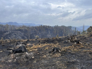 FOTOGALERIE: Až na hranu sil. Hasiči z kraje neúnavně bojují s požárem u Hřenska