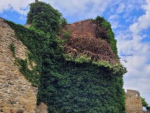 Na hradbách v Přerově spadla část zdi. Radnice na místě omezila vstup