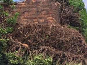 Na hradbách v Přerově spadla část zdi. Radnice na místě omezila vstup