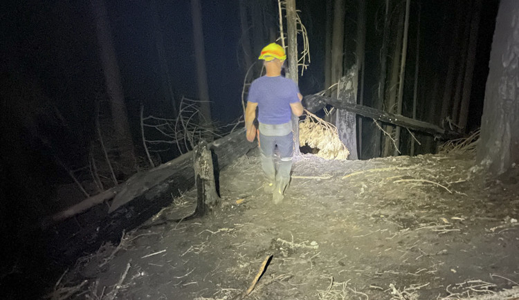 Hasiči musí provádět i noční dohled na požářišti