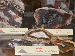 Návrat k dobám dávných sopek. Výstava představí výbušnou historii Moravy a Slezska