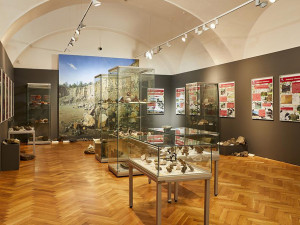 Návrat k dobám dávných sopek. Výstava představí výbušnou historii Moravy a Slezska