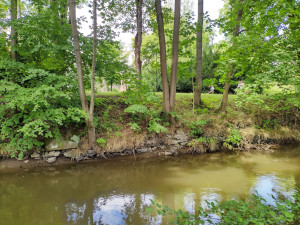 Mlýnský potok v místě, kde stával Jakubský mlýn, s pozůstatky kamenného břehu, včetně pískovcového bloku (vlevo), patrně součástí mlýnského náhonu