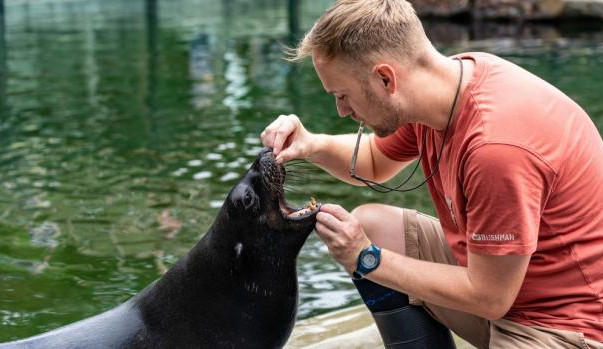 Zoo láká na mláďata a vstup pro děti za korunu