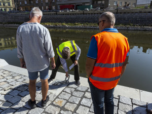 Koncerty, lodičky i prodej kávy a zmrzliny. Náplavka u Moravy vzbuzuje zájem i u podnikatelů