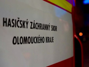 Kocourek Rozárka spadl v Přerově z třetího patra do větrací šachty protiatomového krytu. Zachránili ho hasiči