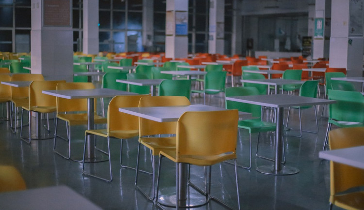 Startuje projekt Od vidlí po vidličku. Chce dostat k dětem více lokálních produktů