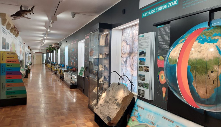 Celé patro zasvěcené přírodě. V olomouckém Vlastivědném muzeu vznikla nová expozice