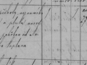 Vytváření rodokmenů a pátrání po dávných předcích mě baví i živí, říká příbuzný posledního plzeňského kata