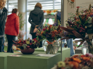 Vědecké laboratoře pod gotickými oblouky. Podzimní Flora připomene výročí zakladatele genetiky